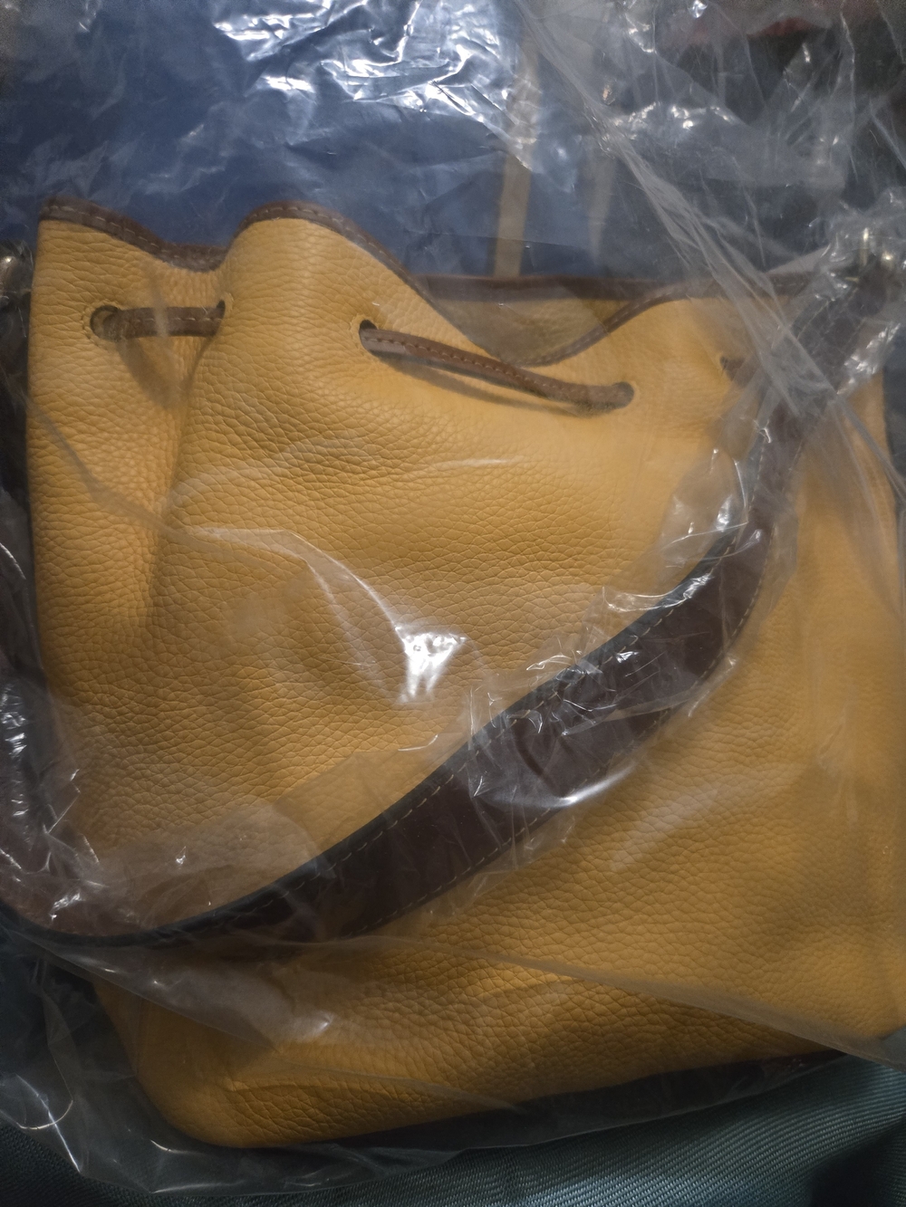 Dooney & Bourke Mustard Yellow Leather Drawstring Hobo with Dark Brown Straps - Picture 3 of 16